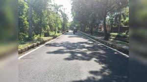 Jalan-Mulus-Terusan-Pemuda.jpg
