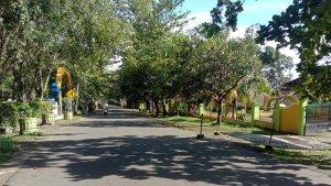 Jalan-di-Depan-Taman-Bunga-TKP-Pembacokan-Murid-SD-hingga-tewass.jpg