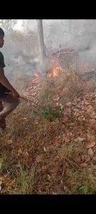 Kebakaran-hutan-Gunung-Ciremai-di-Blok-Cirendangf.jpg