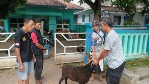 PWI-Majalengka-berkurban-dua-ekor-kambing-di-Sekretariat-PWI-Majalengkas.jpg
