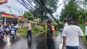 Pohon-tumbang-Kuningan-Cirebon.jpg