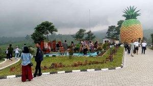 Smart-Hill-Camp.jpg