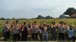 TNI-dan-Polri-bersama-petani-Desa-Jatisawit-Kecamatan-Kasokandel-Kabupaten-MajalengkaSS.jpg