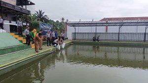 Tabur-Benih-Ikan-Lapas-Kuningan.jpg