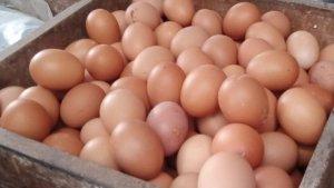Telur-ayam-di-Pasar-Sindangkasih-Cigasong-Majalengka-Sabtu-232024.jpg