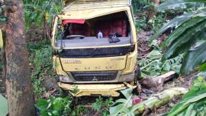 Truk-colt-diesel-terjun-ke-jurang-di-Jalan-Sukabumi-BantenS.jpg