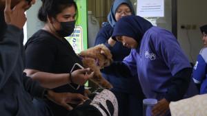 Vaksin-Anjing.jpg