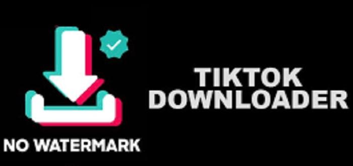 Berikut-ini-cara-mudah-pakai-SnapTik-aplikasi-kekinian-untuk-download-video-viral-di-TikTok.jpg