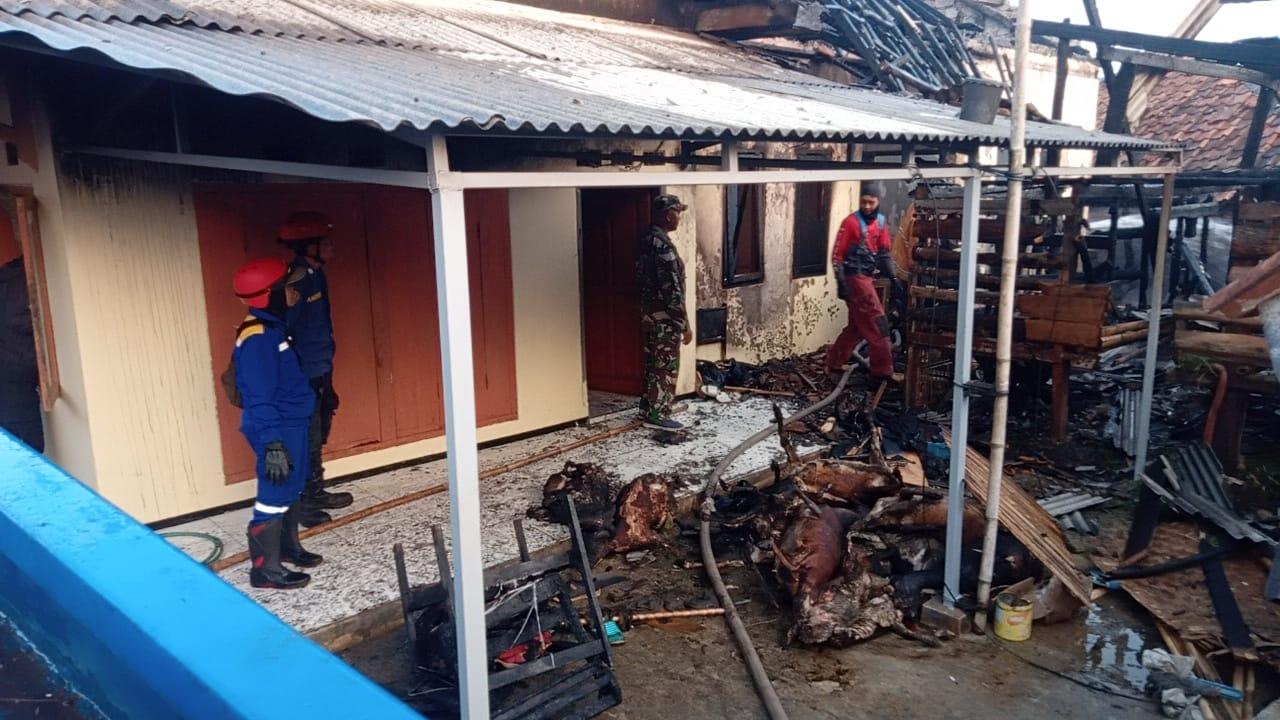 Kebakaran Hanguskan Rumah dan Kandang Ternak di Ciater Subang, 7 Kambing Ikut Terpanggang