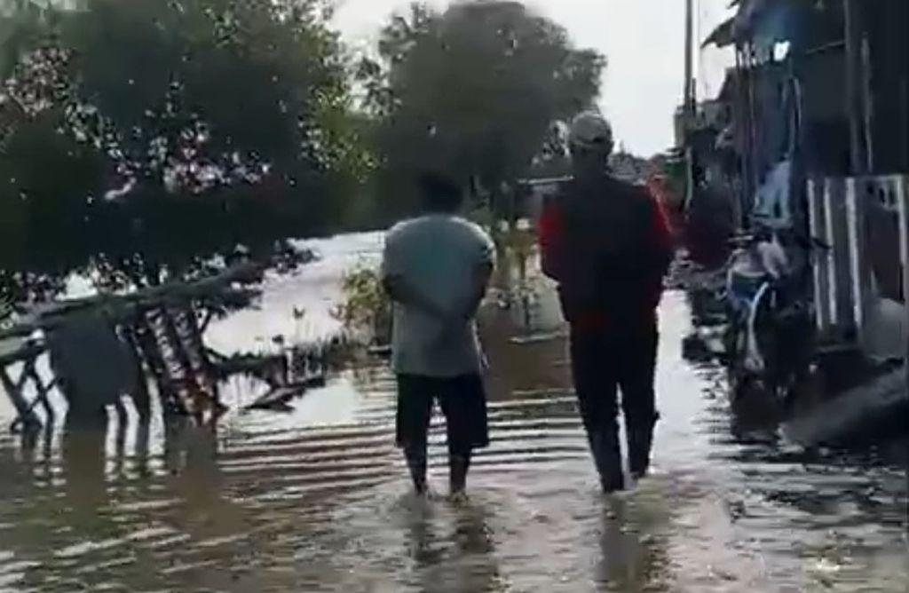 Perjuangan Petugas Pantarlih di Indramayu, Terjang Banjir Hingga Lintasi Jembatan Bambu Untuk Coklit