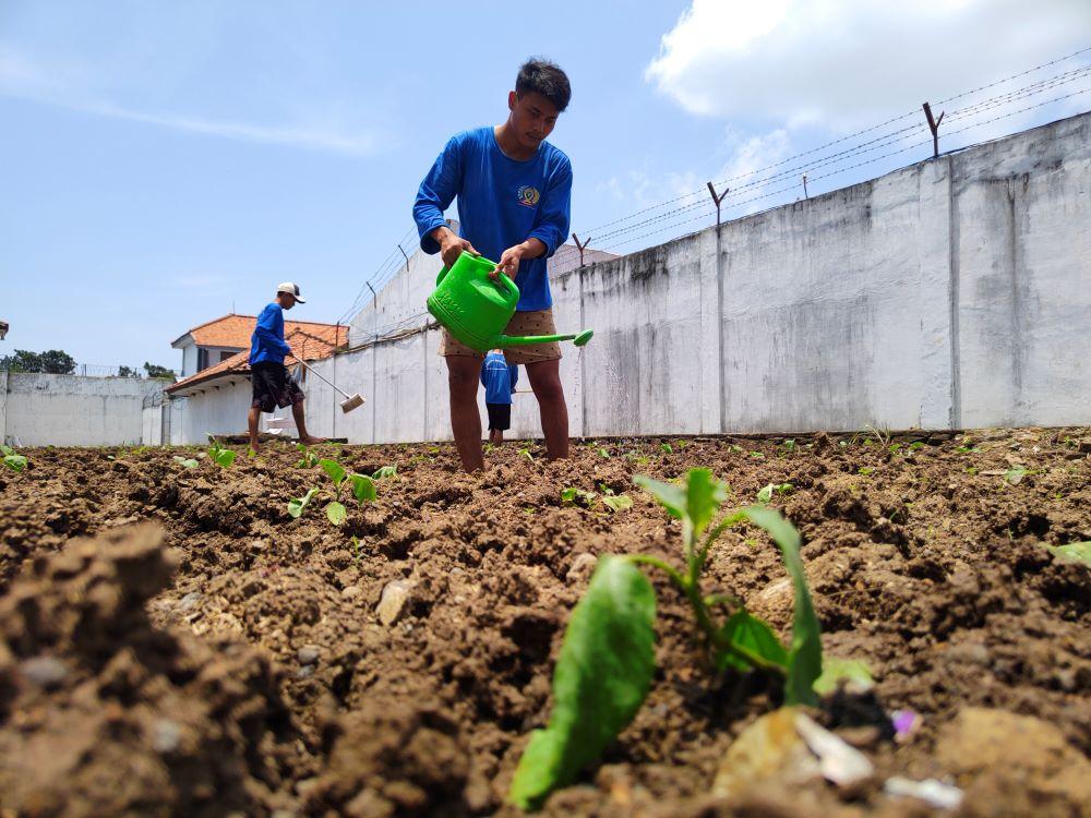 Warga-binaan-saat-tengah-bertani-dengan-memanfaatkan-lahan-kosongg.jpg