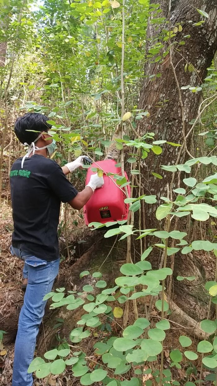 Warga Amankan Seekor Kukang Jawa Yang Masuk ke Kawasan Hotel, Komunitas Kembalikan ke Alamnya