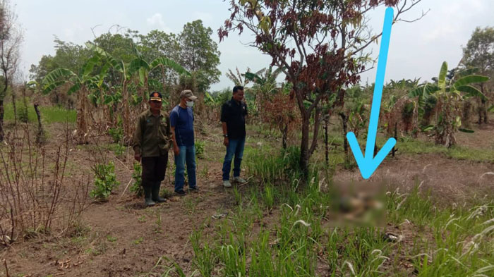 Polisi Temukan Dompet di Dekat Kerangka Manusia yang Hangus Terbakar di Indramayu, Ini Identitasnya