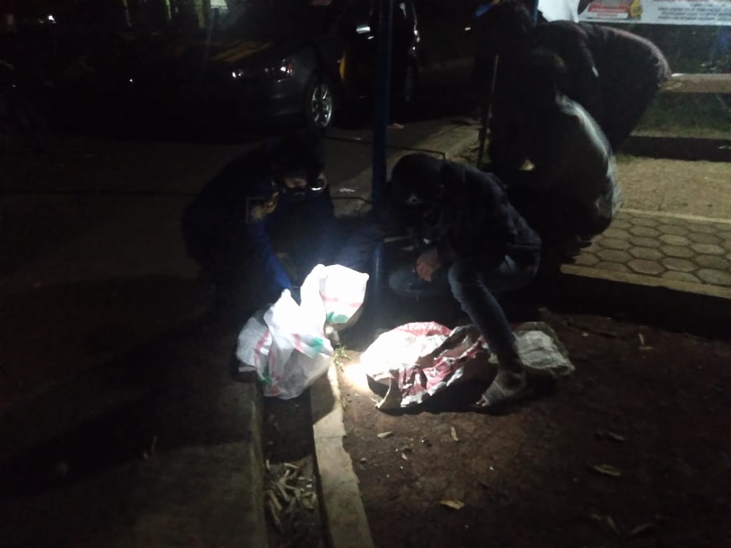 Monyet Liar yang Cakar dan Gigit Balita Ternyata Hewan Peliharaan Warga yang Lepas, Ortu Masih Syok