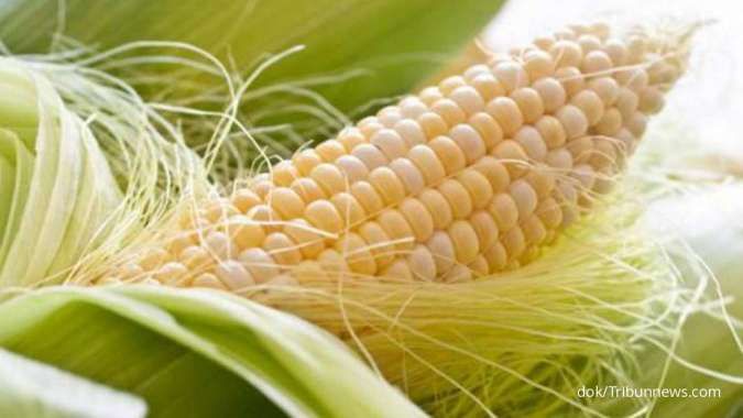 sering-dianggap-tak-penting-ternyata-rambut-jagung-efektif-sembuhkan-diabetes-melitus.jpg