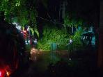 Angin-kencang-pohon-tumbang-Pelabuhan-Ratu.jpg