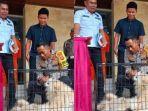 Demi-Anjing-dan-Handphone-Siswa-SMP-Nekat-Curi-Uang-RP-127-Juta-Milik-Pamanya-di-Lemari.jpg