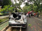 Kondisi-mobil-yang-dikendarai-ibu-dan-anak-setelah-tertimpa-pohon-tumbangG.jpg