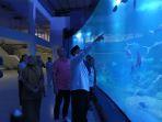 Objek-wisata-Aquarium-Indonesiaa.jpg