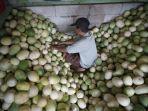 Penjual-timun-suri-Sumars.jpg