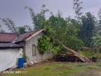 Pohon-tumbang-menimpa-rumah-dan-menutup-jalan-akibat-hujan-esS.jpg