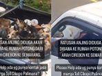 Ratusan-Anjing-Diangkut-Truk-dar-Cirebon-ke-Semarang-Diduga-Dibawa-ke-Tempat-Pemotongan.jpg