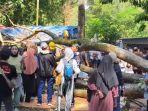 Sebuah-pohon-besar-tumbang-di-Kebun-Binatang-BandungS.jpg