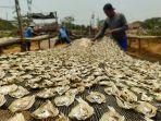 Sentra-ikan-asin-KampungDesa-Mertasinga-Gunungjati-Kabupaten-Cirebon-24102023-2.jpg
