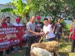 Sutrisno-beri-hewan-kurban-ke-PAC-PDI-Perjuangan-Majalengka-2862023.jpg
