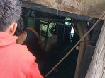 api-muncul-dari-panel-listrik-kapal-km-suka-mulya-3-127-gross-ton-gt.jpg