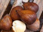 inilah-10-manfaat-buah-salak-untuk-kesehatan-bisa-mengontrol-gula-darah.jpg