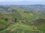 kondisi-terkini-objek-wisata-Terasering-Panyaweuyan-Majalengka-yang-belum-sepenuhnya-hijaus.jpg