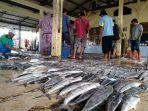 lelang-ikan1.jpg