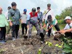 Perbaiki Lingkungan Pesisir, Pertamina Tanam Ribuan Bibit Mangrove di Taman Cemara Kulon