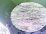 oknum-polisi-jadi-pemeran-video-mesum-di-ruang-isolasi-rsud-dompu.jpg