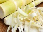 TAHU Gak Sih? Ternyata Konsumsi Rebung Bambu Banyak Manfaat Alias Khasiatnya Loh, Cobain Deh