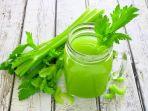 seledri-dan-jus-seledri.jpg