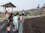 wisata-baru-di-Desa-Pajambon-Kramatmulya-Kuningan-Agro-Wisata-Sawah-Pakuwon.jpg