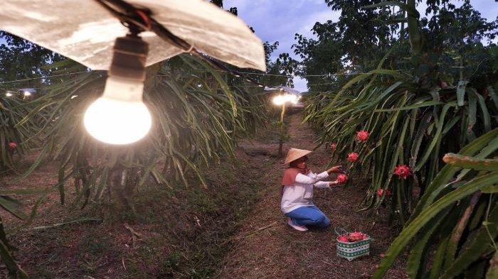 Triwulan I 2022, Konsumsi Listrik Nasional Naik 8,42 Persen Industri Tekstil Kontribusi Paling Besar