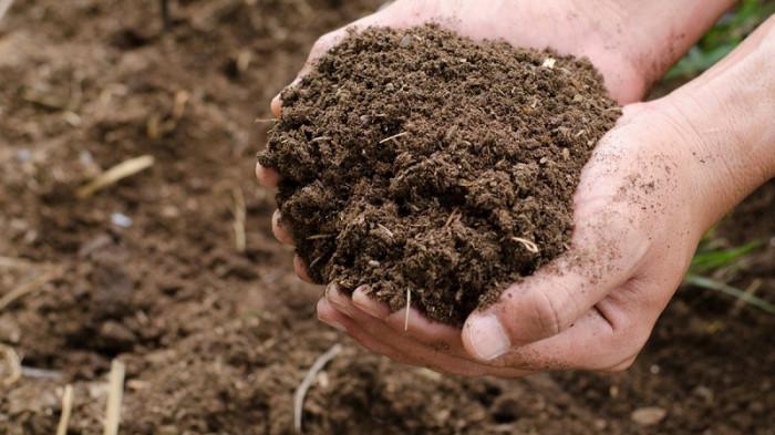 Cara Membuat Pupuk Organik Padat Menggunakan Kotoran Hewan