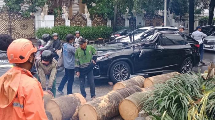 Kenal Secara Pribadi, Gubernur Jakarta Tawarkan Santunan Korban Tertimpa Pohon di Pondok Indah
