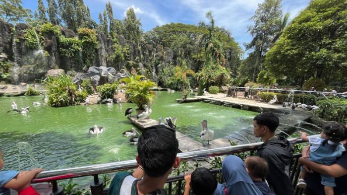Wisatawan Serbu Ragunan