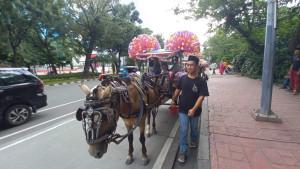 Delman-Monas.jpg