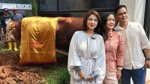 Dewi-Perssik-ketika-ditemui-di-kediamannya-di-kawasan-Lebak-Bulus-Jakarta-Selatan.jpg