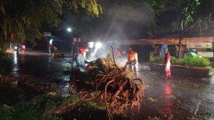 Evakuasi-pohon-tumbang-dilakukan-oleh-petugas-BPBD-Kota-Bogor.jpg