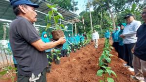 Gerakan-penanaman-pohon-cabai-di-RW-16-Kelurahan-Cimpaeun.jpg