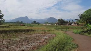 Kondisi-titik-pusat-gempa-di-Dusun-Naringgung-Desa-Kutalanggeng.jpg