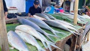 Pedagang-bandeng-Imlek-mulai-menjamuri-kawasan-Rawa-Belong-Jakarta-Barat.jpg