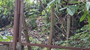 Penampakan-TPS-liar-di-pinggiran-Sungai-Cipinang.jpg