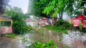 Pohon-Rawan-Tumbang-di-Jalan-Pramuka.jpg